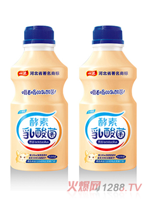 一濃酵素乳酸菌 瓶裝